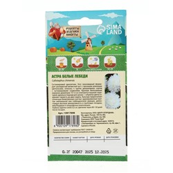 Семена цветов Астра "Белые лебеди "0.2 г