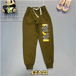 штаны 2057101-3