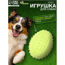 Игрушка жевательная «Граната», TPR, 10 см, салатовая
