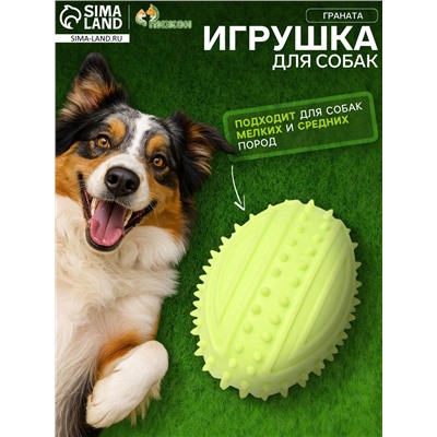 Игрушка жевательная «Граната», TPR, 10 см, салатовая
