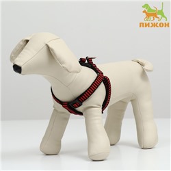 Шлейка рельефная 36-49×1.5 см, красно-чёрная