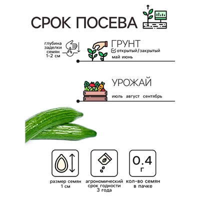 Семена Огурец «Китайские змеи», 0.4 г, «Рецепты дедушки Никиты»