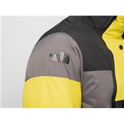 Куртка зимняя The North Face