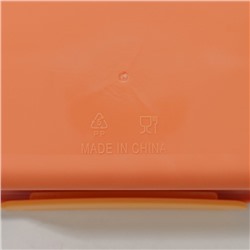 Ланч-бокс для еды Доляна «Классика», пластик, 2 отделения, в школу, 18×18×6 см, оранжевый