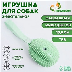 Игрушка массажная пищащая для собак «Фрукт»,10.5 см, ТПР, микс цветов