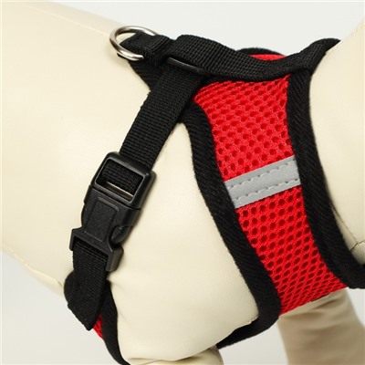 Шлейка с поводком, размер M, ОШ 26, ОГ 36-44, с светоотражающей нашивкой, мягкая, красная