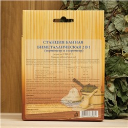 Станция банная биметаллическая, 2 в 1, СББ 2-1 (t 0 +120 С; RH0 % - 100%), в коробке