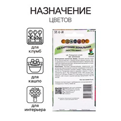 Семена цветов Пеларгония зональная Люстра микс, 5шт