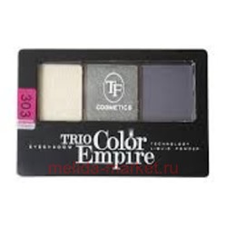 TF Тени для век 3х цв."Trio Color Empire " СTE22 тон 303(срок до 12.22)