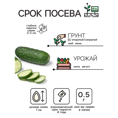 Семена Огурец "Засолочный", 0,5 г