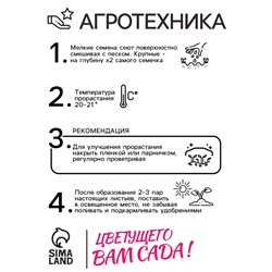 Семена цветов Пеларгония «Дансер Ред», зональная, 3 шт., «Семена Алтая»