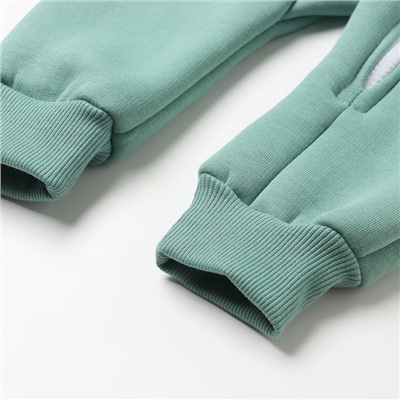 Комбинезон с капюшоном детский «Крошка Я» BASIC LINE, рост 74-80 см, ярко-зелёный