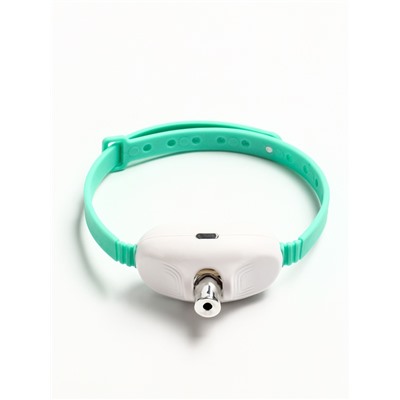 Ошейник-лазер для кошек, USB, зелёный