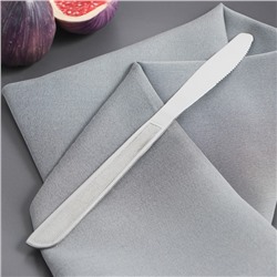 Нож столовый из нержавеющей стали Доляна «Пулкин», длина 20.6 см, толщина 2 мм, цвет серебряный