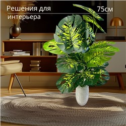 Искусственное растение 75см