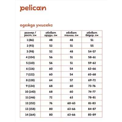 313937 PELICAN Брюки