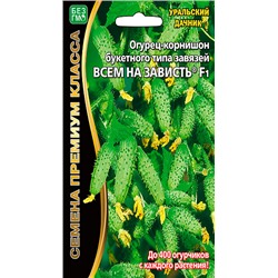 8060N Огурец Всем на зависть F1 5шт