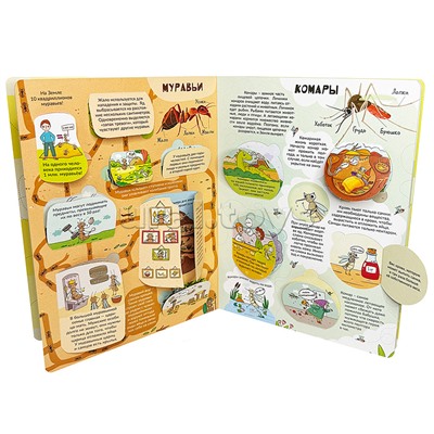 Энциклопедия с окошками (ЦК) Моя первая книга о насекомых
