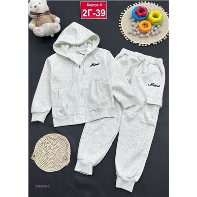 костюм с начесом 2055635-2