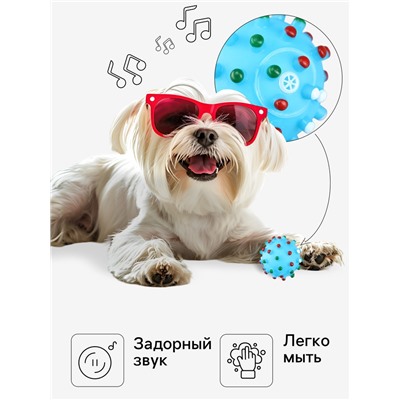 Игрушка пищащая «Бактерия» для собак, 6.3 см, голубая