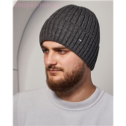 96717 Silver Шапка мужская флис (57-59)