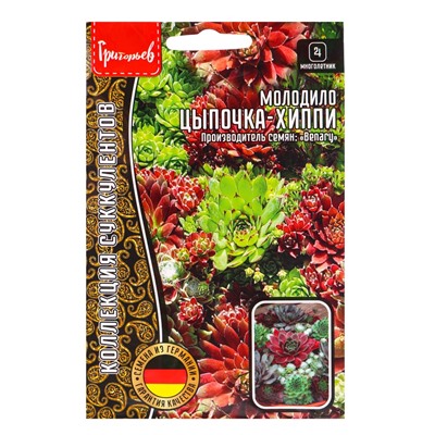 Семена цветов Молодило Цыпочка - Хиппи  5драже   12.29 г.