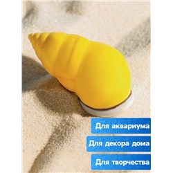 Ракушка декоративная, 4-5 см