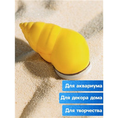 Ракушка декоративная, 4-5 см