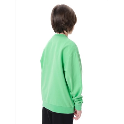 PELICAN Толстовка BFN3369