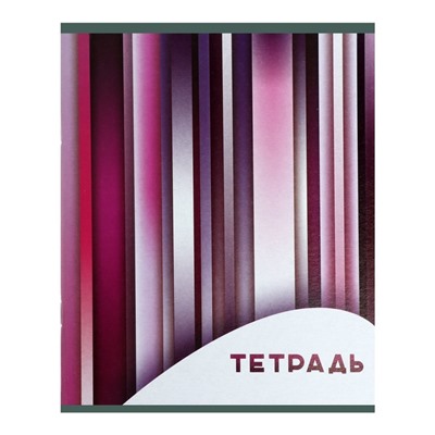 Набор тетрадей, 96 листов в клетку, Calligrata «Яркие полосы», серые листы, 4 штуки