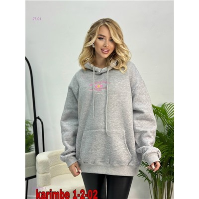 Толстовка с начесом 2057626-1