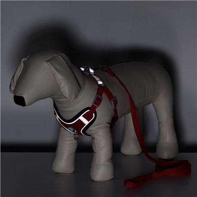 Комплект Sport+, S, поводок 120×1.5 см, ОШ 39-41 см, ОГ 44-48 см, вес животного 7-13 кг, красный