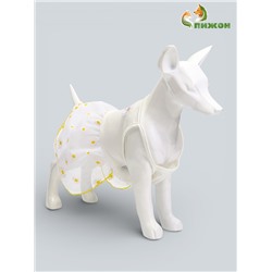 Сарафан для животных «Ромашка», размер S, ДС 20, ОГ 30 см