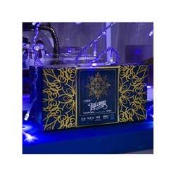 Гирлянда «Бахрома» 3×0.6 м, IP44, УМС, прозрачная нить, 160 LED, свечение синее, мерцание белым, 220 В