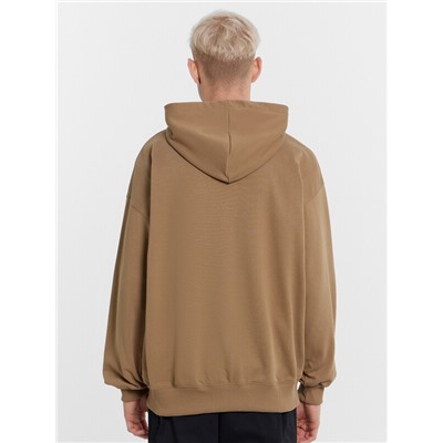 ТОЛСТОВКА МУЖСКАЯ 121201/1