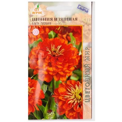 Цинния Алое Пламя  изящная (Код: 78539)