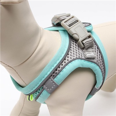 Комплект с мягкой шлейкой быстросъемный, XXS поводок 150×1.5 см, ОШ 24-26 ОГ 28-30 см, бирюзовый