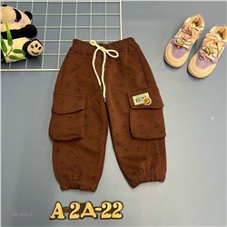 штаны 1981424-3