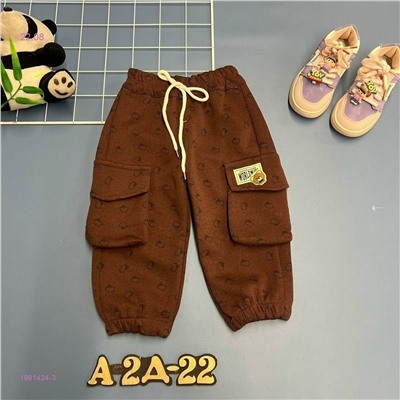 штаны 1981424-3