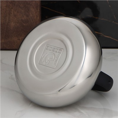 УЦЕНКА Чайник со свистком Доляна «Квант», 2.8 л, фиксированная ручка, цвет чёрный