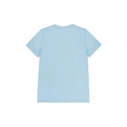 Фуфайка трикотажная для мальчиков (футболка)