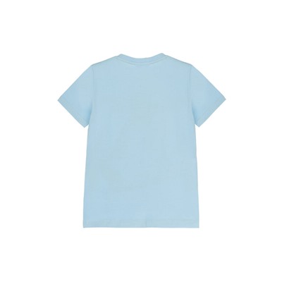 Фуфайка трикотажная для мальчиков (футболка)