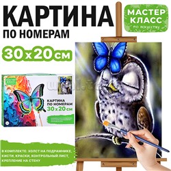 Набор для рисования "Картина по номерам 30х20 см. Совушка"