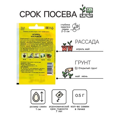 Семена Огурец "Кустовой" скороспелый, 0,5 г
