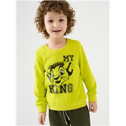 Толстовка трикотажная для мальчиков