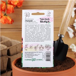 Семена цветов Виола "Грильяж", ц/п, Дв, виттрока, 0,05 г