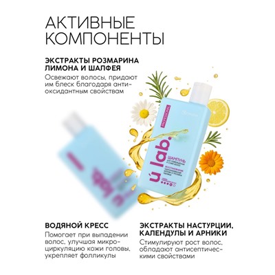 Профессиональный восстанавливающий шампунь женский, для сухих и пористых волос с кератином и протеинами пшеницы, 250 мл ULAB