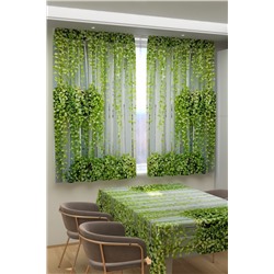 Натали Шторы 10856