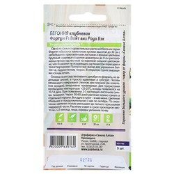 Семена цветов бегония «Вайт виз Роуз», 4 шт.