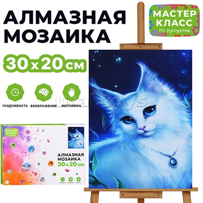 Мозаика алмазная "Потрясающий кот" 20*30см.